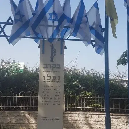 * בעקבות נוטרים, צלבנים ושקמים עתיקים בישוב אזור. סיור בשכונת השומרונים בחולון.