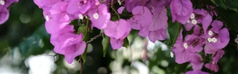 קול בין השורות – על נשים, שתיקה וסיפור