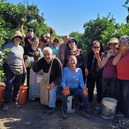 שם הופעה/אירועהתנדבות בחקלאות -בית אריזה בקלחים