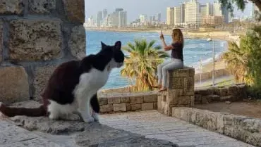 הסדנה שתקפיץ את רמת הצילום שלכם: שוק הפשפשים-יפו העתיקה