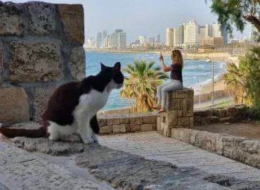 הסדנה שתקפיץ את רמת הצילום שלכם: שוק הפשפשים-יפו העתיקה