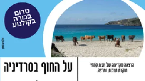 טרום בכורה בקולנוע - החוף בסרדיניה