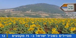 שביל ישראל קטע מספר 12 – הר תבור