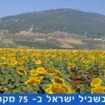 שביל ישראל קטע מספר 12 – הר תבור