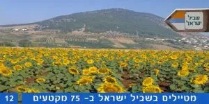 שביל ישראל קטע מספר 12 – הר תבור
