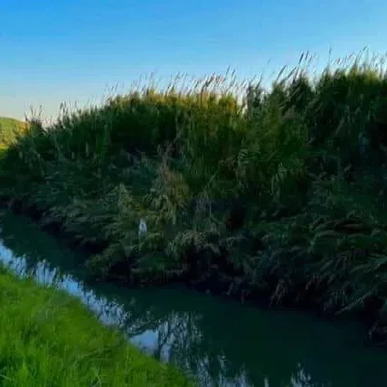 אל ארץ שילה – טיול פתיחה בונוס ללא עלות