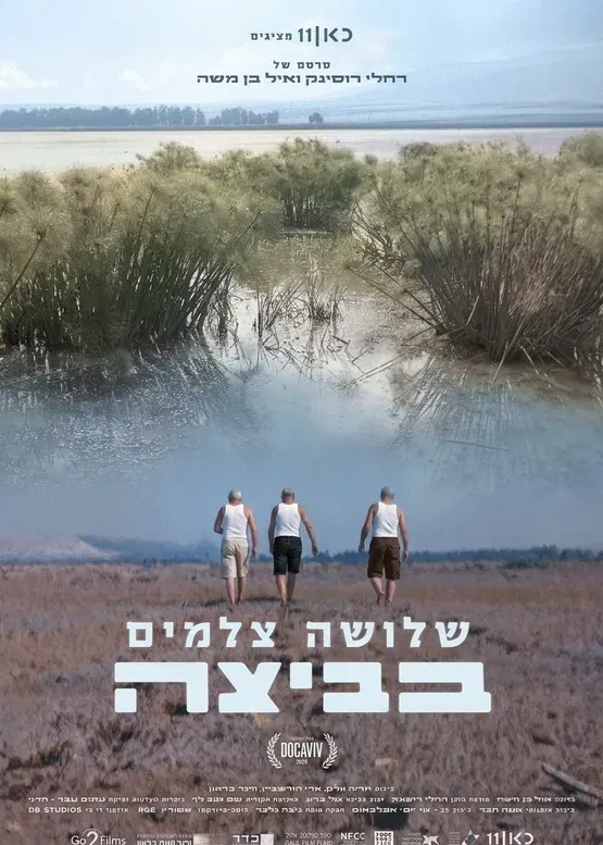 שלושה צלמים בביצה