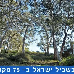 שביל ישראל: מקטע 23- מנתניה ועד סידני עלי, הרצליה