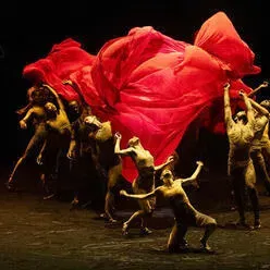 BOLERO X – שחר בנימיני
