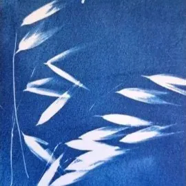 סדנת הדפסי שמש (Cyanotype)