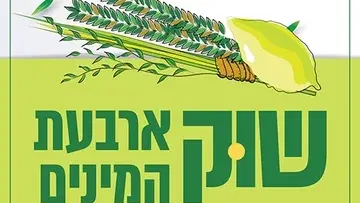 יריד ארבעת המינים - דוכני מכירת סכך