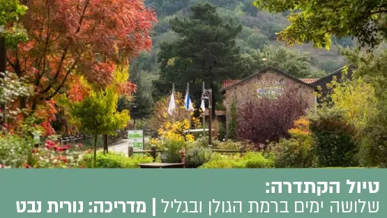 טיול הקתדרה: שלושה ימים ברמת הגולן ובגליל.