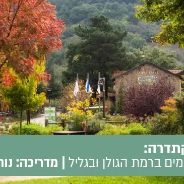 טיול הקתדרה: שלושה ימים ברמת הגולן ובגליל.