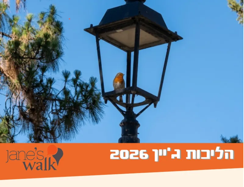 צפרות עירונית