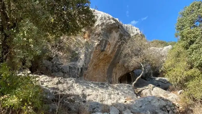 עולים ויורדים בכרמל: נחל יגור ונחל מעפילים
