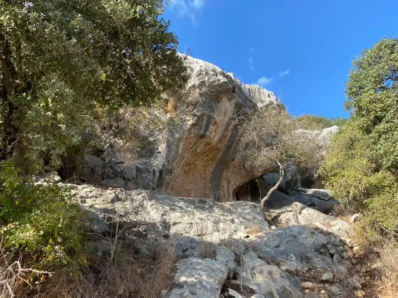 עולים ויורדים בכרמל: נחל יגור ונחל מעפילים