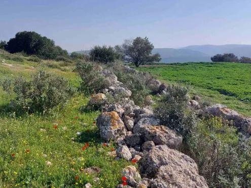 בין תלים ודפים – סיור עם התנ"ך ביד בשפלת יהודה