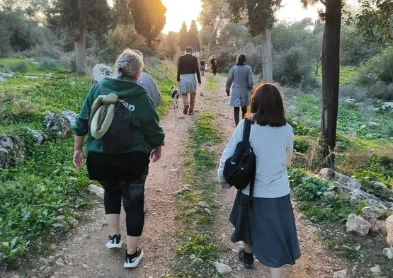 הולכים ביער