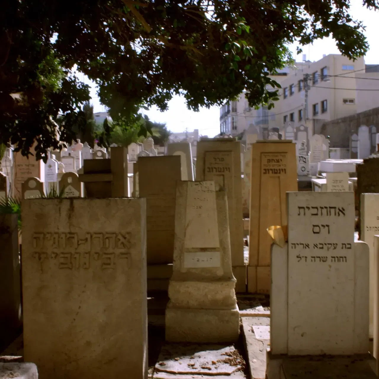 סיור ערב בבית הקברות טרומפלדור