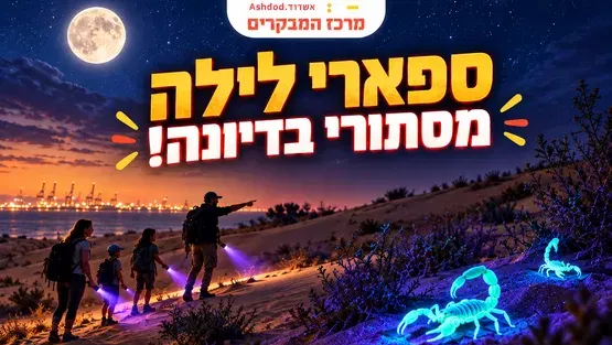 ספארי לילה