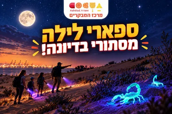 ספארי לילה