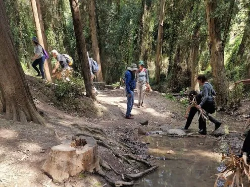 טוסקנה של ישראל – סיור ביערות רמות מנשה ונחליה