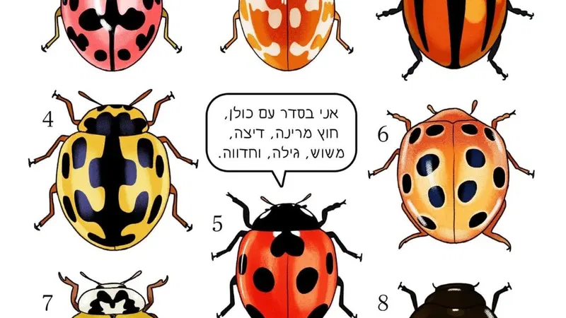 סדנת קומיקס עם נעה כ״ץ