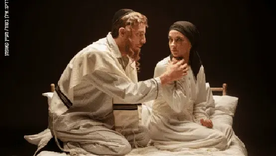 פינק ליידי