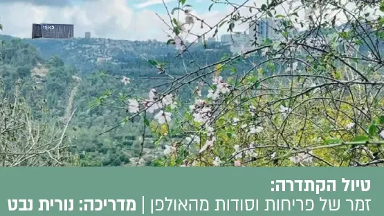 טיול הקתדרה זמר של פריחות וסודות מהאולפן
