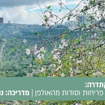 טיול הקתדרה זמר של פריחות וסודות מהאולפן