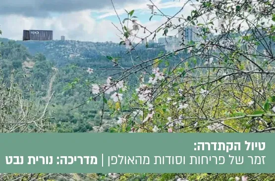 טיול הקתדרה זמר של פריחות וסודות מהאולפן