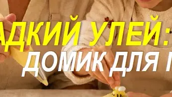 МАСТЕР-КЛАСС: СЛАДКИЙ УЛЕЙ — ДОМИК ДЛЯ ПЧЁЛ