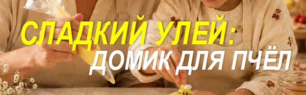 МАСТЕР-КЛАСС: СЛАДКИЙ УЛЕЙ — ДОМИК ДЛЯ ПЧЁЛ