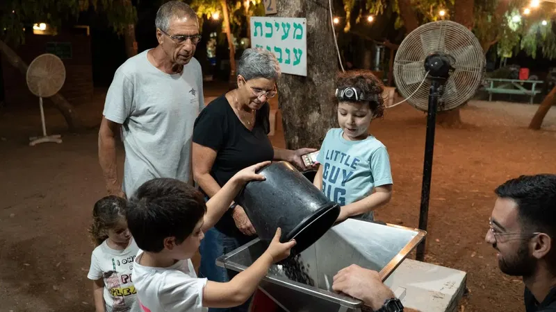 בוצרים ונהנים בלילה במשק אופיר