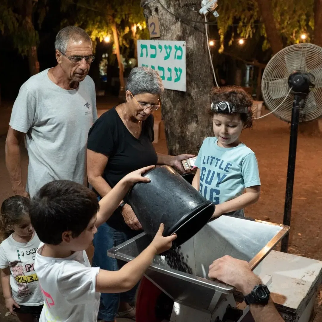 בוצרים ונהנים בלילה במשק אופיר