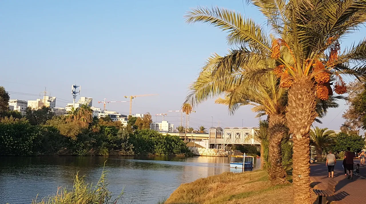 בכל זאת יש בה משהו: סיור בעקבות פרשיות העבר של תל אביב