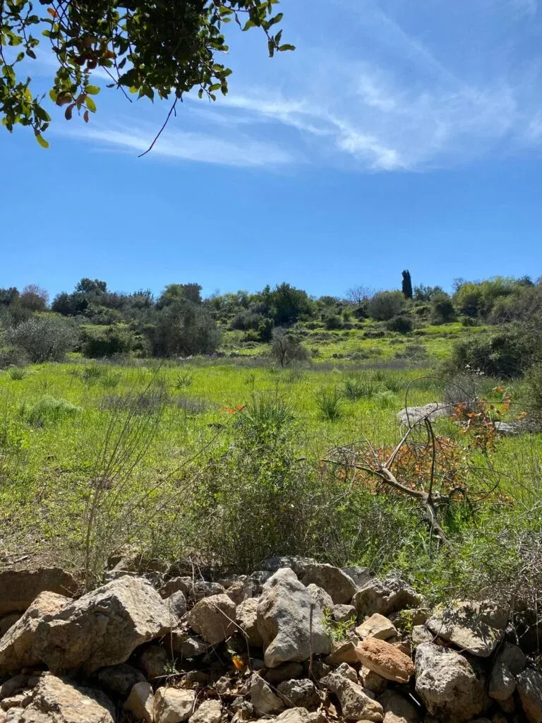 שביל הבורות והבארות: מסע מרתק אל סודות ההר והמים