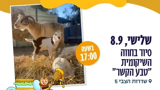 סיור בחווה השיקומית טבע הקשר גילאי שלוש עד שש -שד בן צבי5