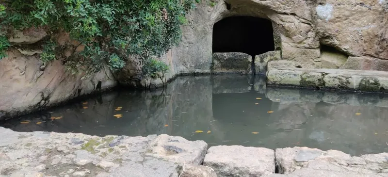 מטיילים עם נכדים בנחל שיח