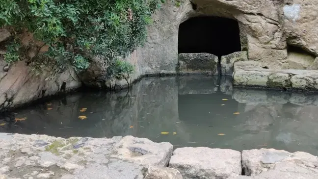 מטיילים עם נכדים בנחל שיח