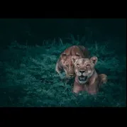 הרצאתה של מורן מוסט - הרצאת חובה להורי מתבגרים לקראת הקיץ
