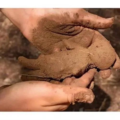 סדנת משחקי אדמה בגינת מעוז אביב