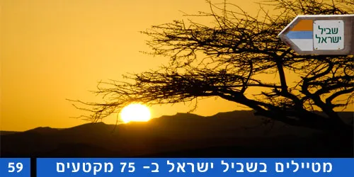 שביל ישראל קטע 59 ממצפה רמון עד קיר האמוניטים