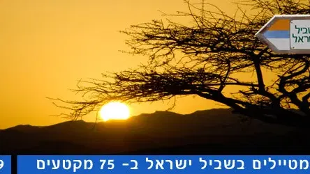 שביל ישראל קטע 59 ממצפה רמון עד קיר האמוניטים