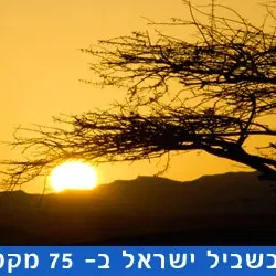 שביל ישראל קטע 59 ממצפה רמון עד קיר האמוניטים