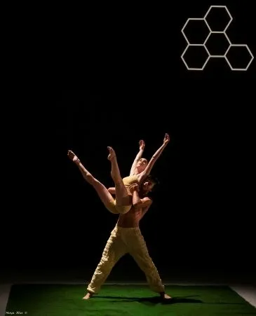 Waggle Dance - להרת המחול GEM