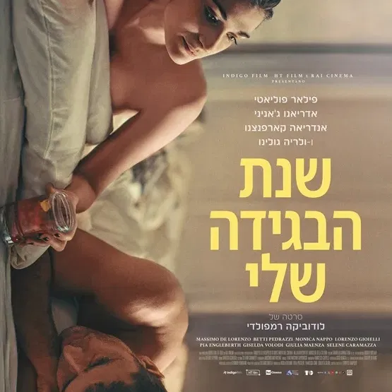 שנת הבגידה שלי - A Brief Affair