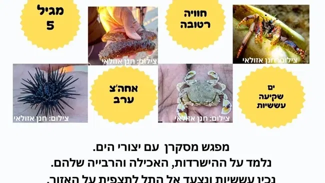 מה קורה כשהים פוגש את השקיעה? סיור מרתק - סבים נכדים | קיץ בסבא-בא