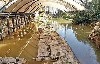 לסייר עם חופר – חידושים בחפירות בריכת השילוח ודרך עולי הרגל
