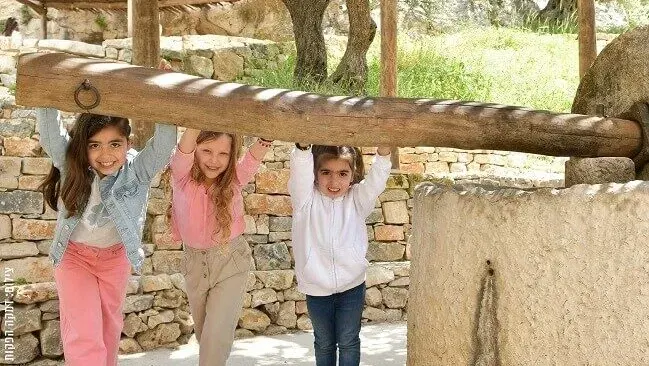 חגיגה בחווה בגיא